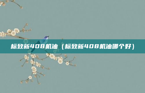 标致新408机油（标致新408机油哪个好）