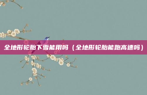 全地形轮胎下雪能用吗(全地形轮胎能跑高速吗)