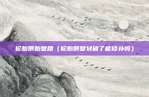 轮胎侧胎壁蹭（轮胎侧壁划破了能修补吗）