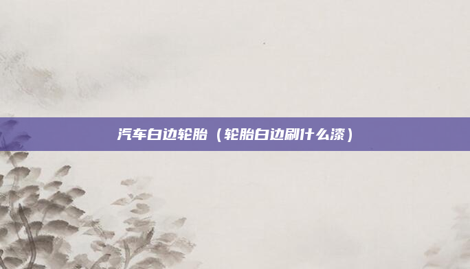汽车白边轮胎（轮胎白边刷什么漆）