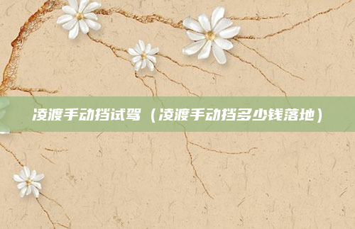 凌渡手动挡试驾(凌渡手动挡多少钱落地)