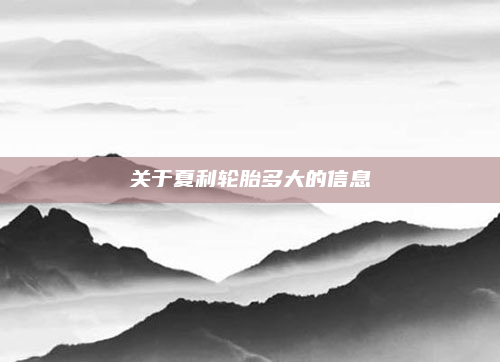 关于夏利轮胎多大的信息