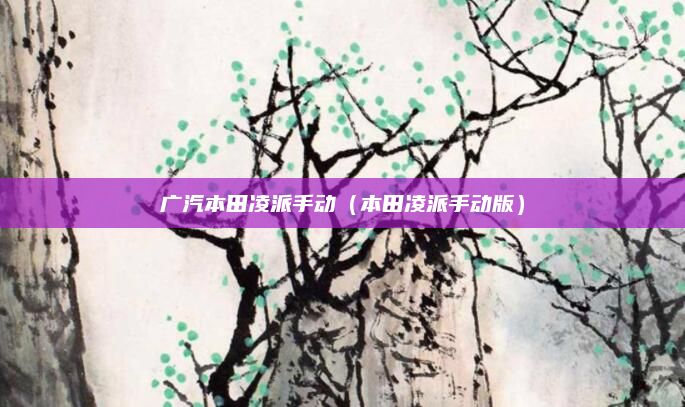 广汽本田凌派手动(本田凌派手动版)