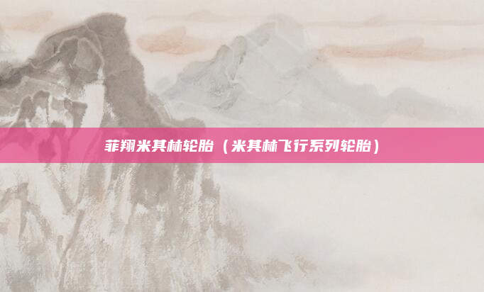 菲翔米其林轮胎（米其林飞行系列轮胎）