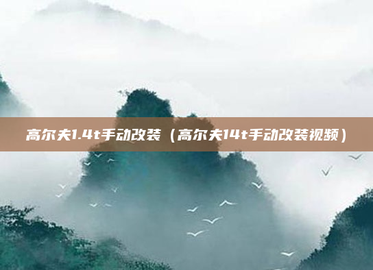 高尔夫1.4t手动改装（高尔夫14t手动改装视频）
