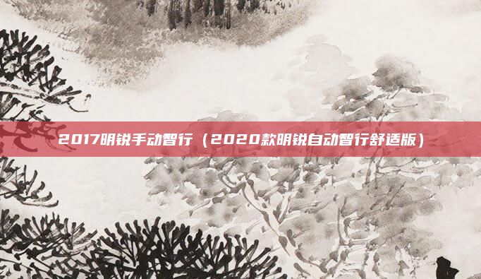 2017明锐手动智行（2020款明锐自动智行舒适版）