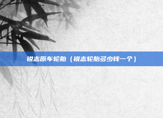 锐志原车轮胎（锐志轮胎多少钱一个）