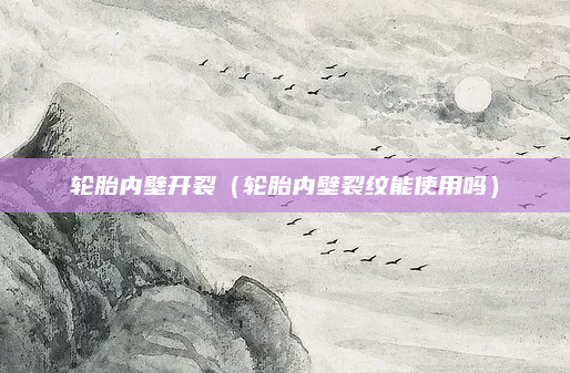 轮胎内壁开裂（轮胎内壁裂纹能使用吗）