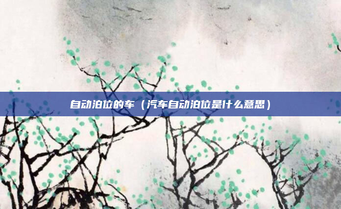 自动泊位的车（汽车自动泊位是什么意思）