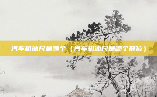 汽车机油尺是哪个（汽车机油尺是哪个部位）