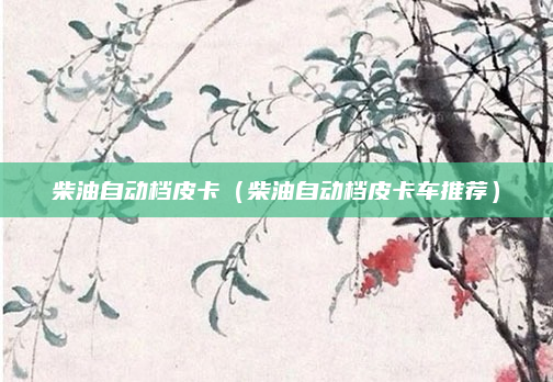 柴油自动档皮卡(柴油自动档皮卡车推荐)