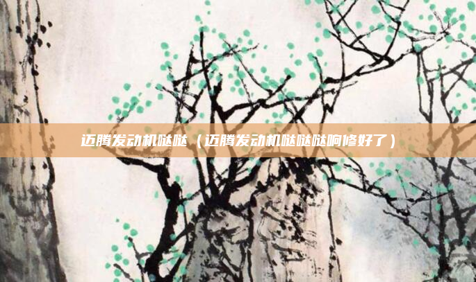 迈腾发动机哒哒（迈腾发动机哒哒哒响修好了）