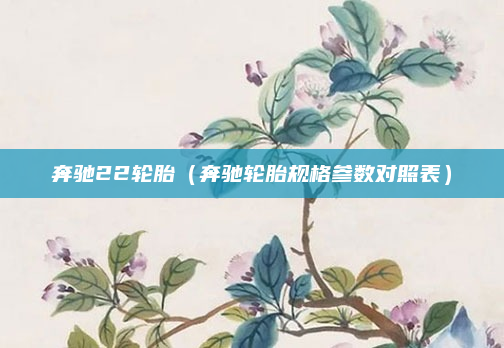 奔驰22轮胎（奔驰轮胎规格参数对照表）