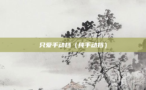 只爱手动档（纯手动挡）