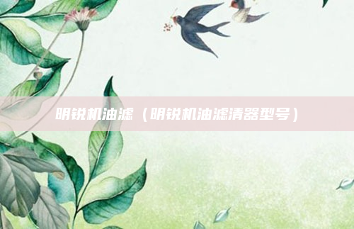 明锐机油滤(明锐机油滤清器型号)