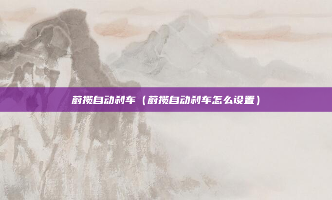 蔚揽自动刹车(蔚揽自动刹车怎么设置)