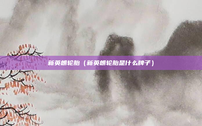 新英朗轮胎(新英朗轮胎是什么牌子)