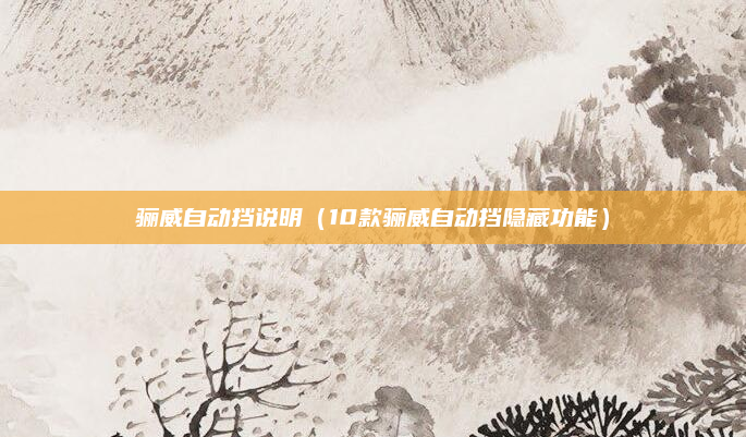 骊威自动挡说明（10款骊威自动挡隐藏功能）