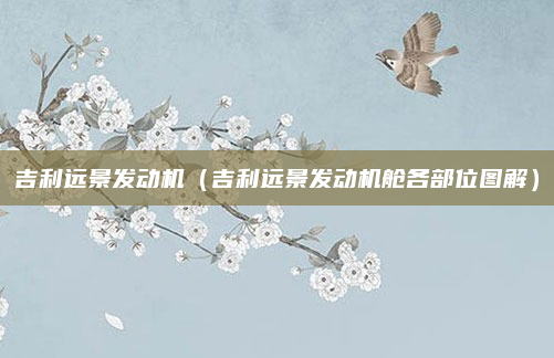 吉利远景发动机(吉利远景发动机舱各部位图解)
