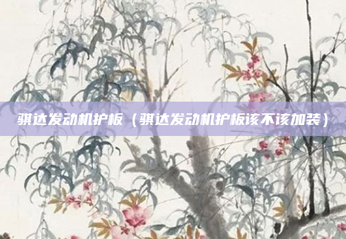 骐达发动机护板(骐达发动机护板该不该加装)