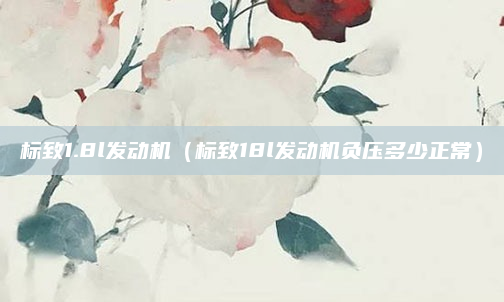 标致1.8l发动机(标致18l发动机负压多少正常)