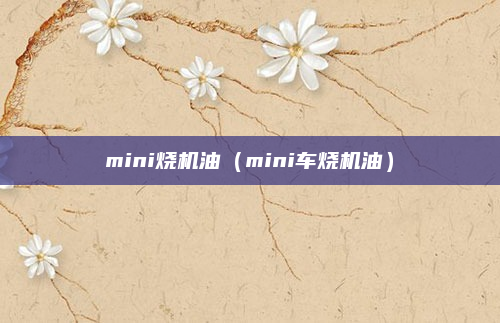 mini烧机油（mini车烧机油）