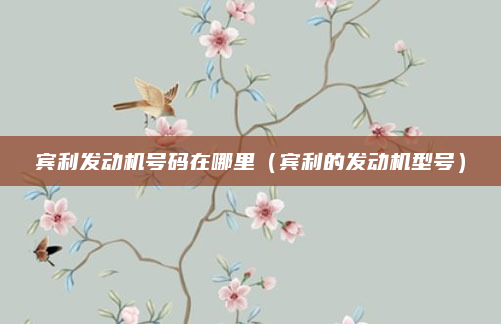 宾利发动机号码在哪里（宾利的发动机型号）