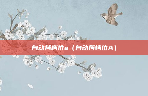 自动挡档位a（自动挡档位A）