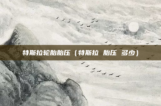 特斯拉轮胎胎压（特斯拉 胎压 多少）