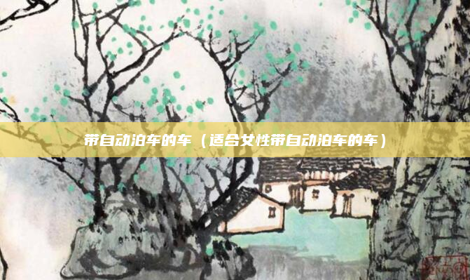 带自动泊车的车（适合女性带自动泊车的车）