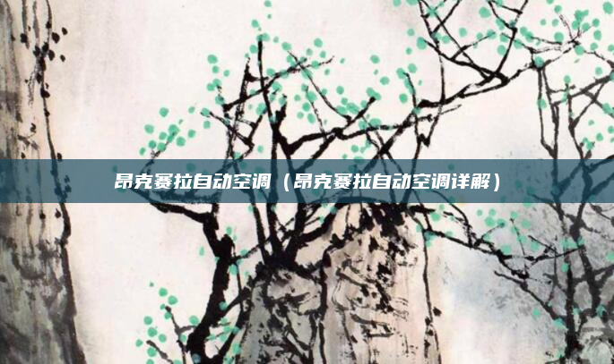 昂克赛拉自动空调（昂克赛拉自动空调详解）