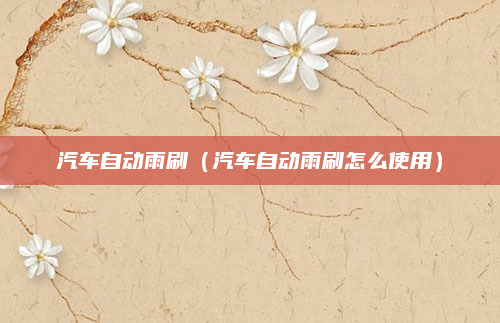 汽车自动雨刷（汽车自动雨刷怎么使用）