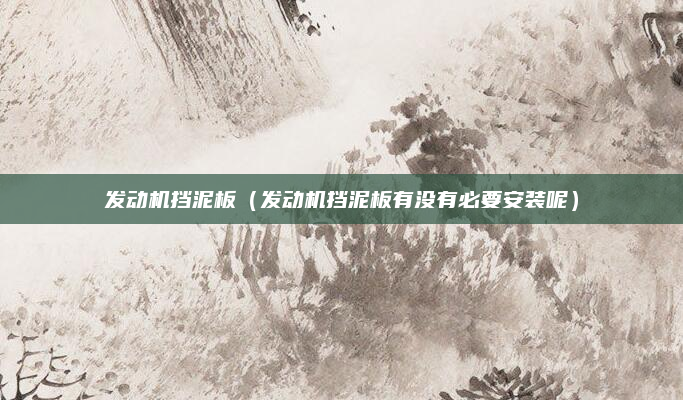 发动机挡泥板（发动机挡泥板有没有必要安装呢）
