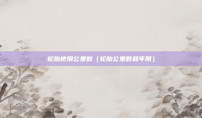 轮胎使用公里数(轮胎公里数和年限)