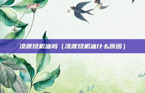 凌渡烧机油吗(凌渡烧机油什么原因)