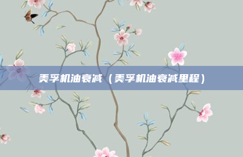 美孚机油衰减(美孚机油衰减里程)
