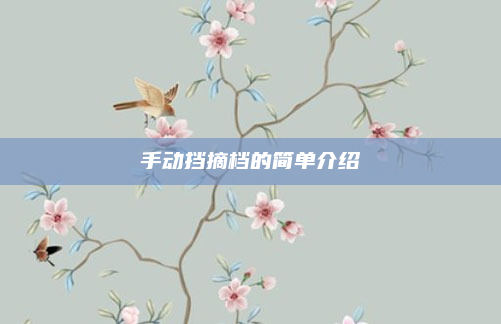 手动挡摘档的简单介绍