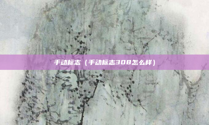 手动标志(手动标志308怎么样)