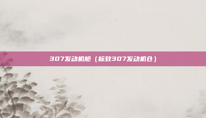307发动机舱(标致307发动机仓)
