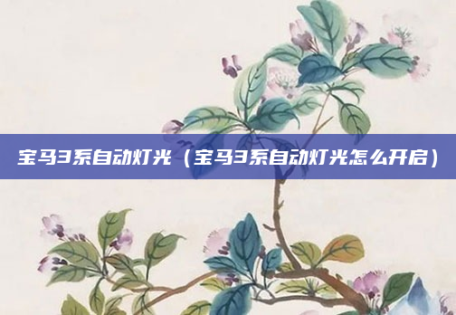 宝马3系自动灯光(宝马3系自动灯光怎么开启)