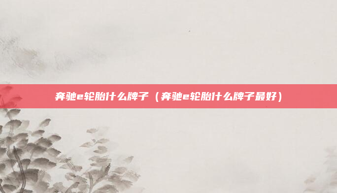奔驰e轮胎什么牌子(奔驰e轮胎什么牌子最好)