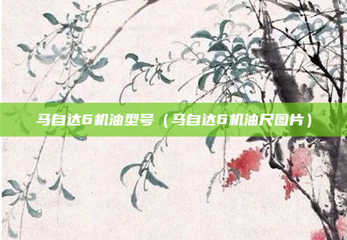 马自达6机油型号(马自达6机油尺图片)