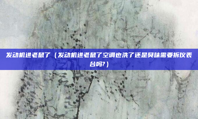 发动机进老鼠了(发动机进老鼠了空调也洗了还是臭味需要拆仪表台吗?)