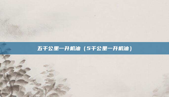 五千公里一升机油（5千公里一升机油）