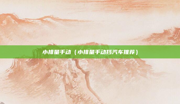 小排量手动（小排量手动挡汽车推荐）