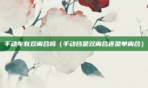 手动车有双离合吗(手动挡是双离合还是单离合)