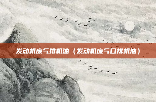 发动机废气排机油（发动机废气口排机油）