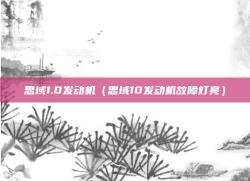 思域1.0发动机（思域10发动机故障灯亮）