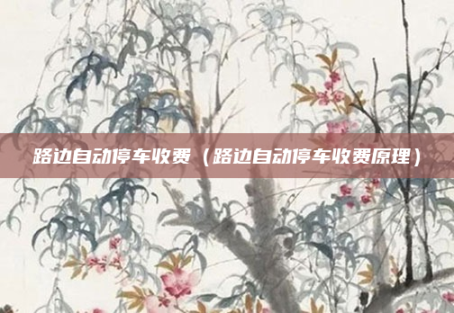 路边自动停车收费(路边自动停车收费原理)