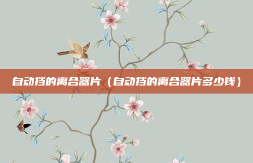 自动挡的离合器片(自动挡的离合器片多少钱)